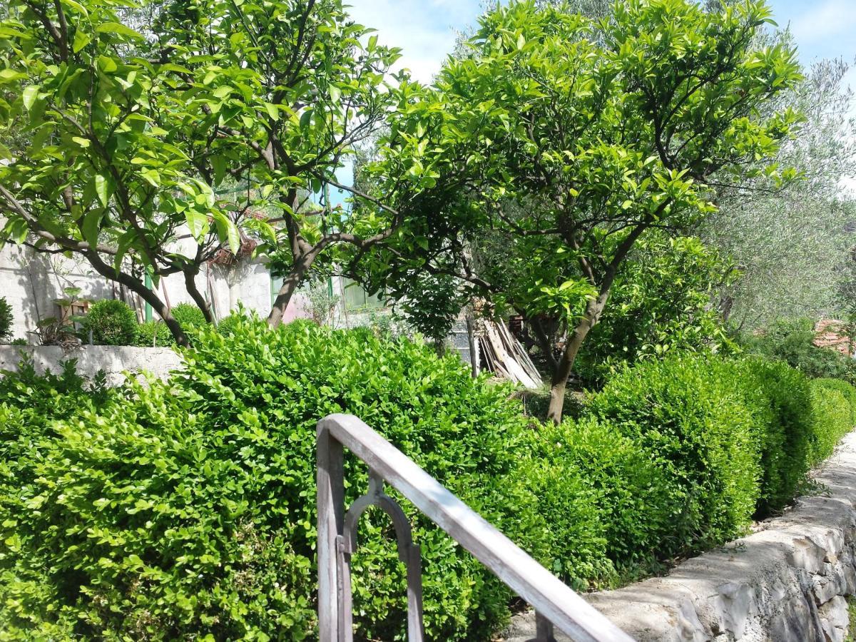 Hoxha rooms Ulcinj Exterior foto